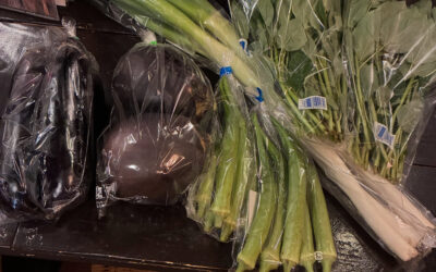まいど、のーかるさんの立川野菜です！