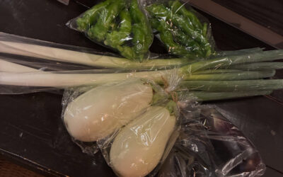 まいど、のーかるさんの立川野菜です!