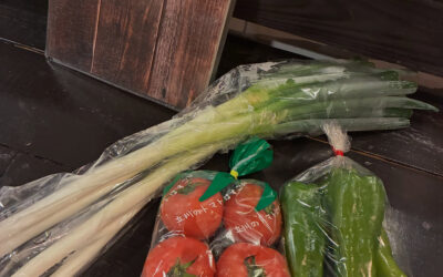 まいど、のーかるさんの立川野菜です！