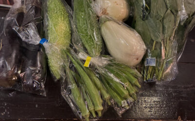 まいど、のーかるさんの立川野菜です！